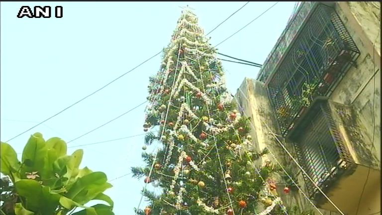 الشجرة زينت بنحو 10 آلاف مصباح