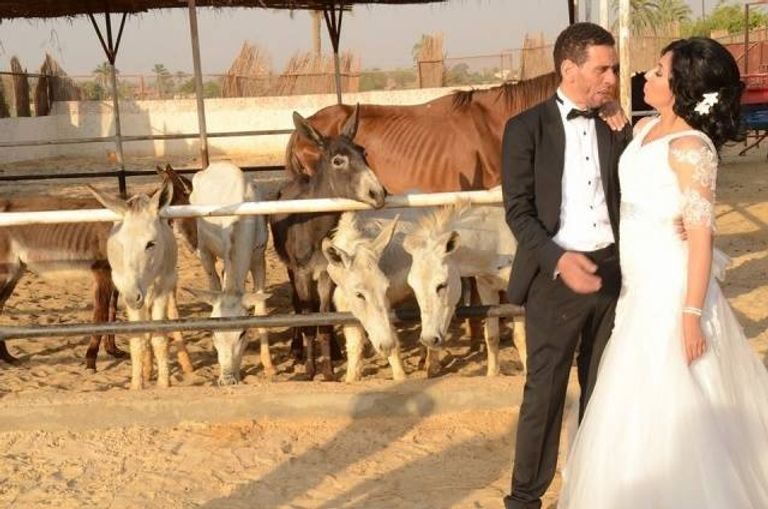 فرح تحت الماء لعروسين بمصر