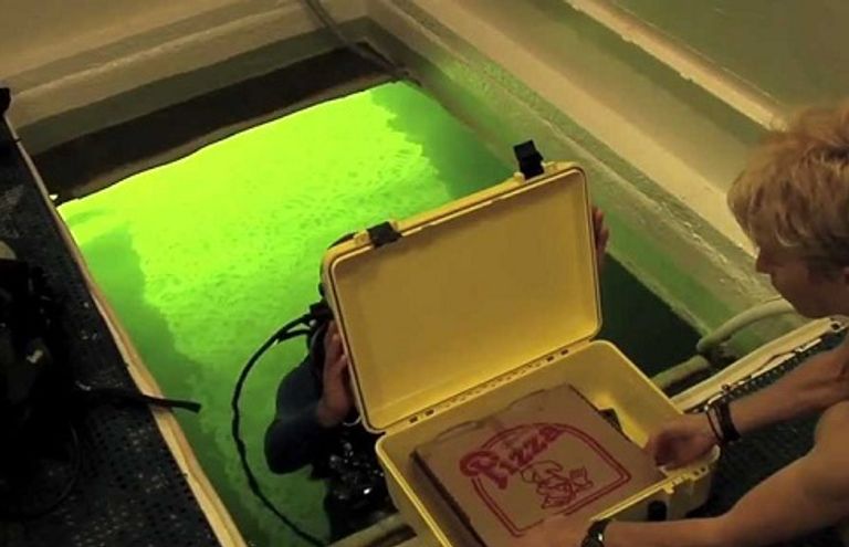 هل تود تجربة تناول الطعام تحت سطح الماء؟