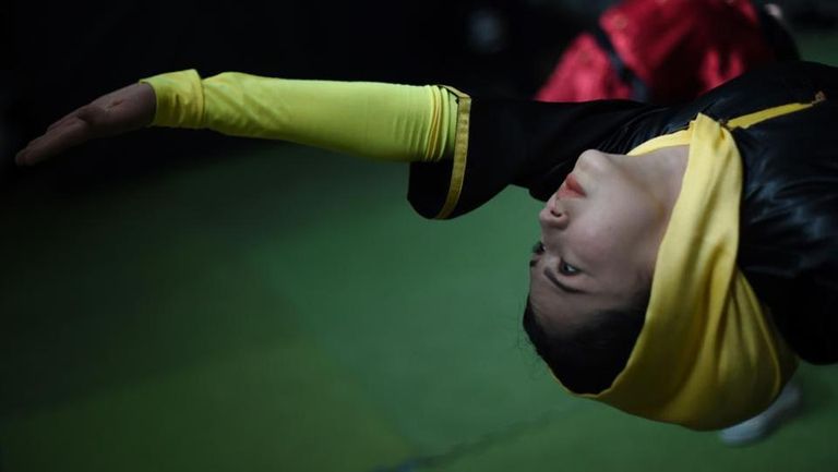 صورة أرشيفية لرياضة الووشو