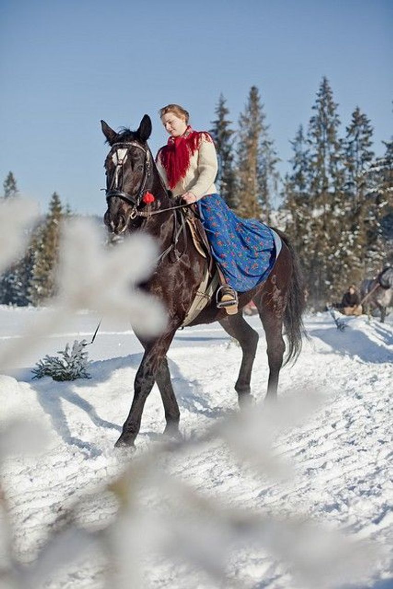 هل تود تجربة رياضة التزلج بالخيول؟