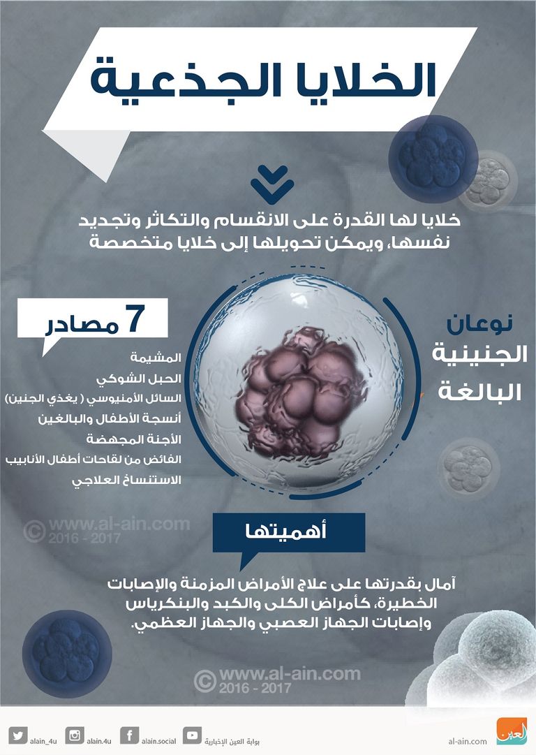 الخلايا الجذعية اكتشاف يبعث الأمل