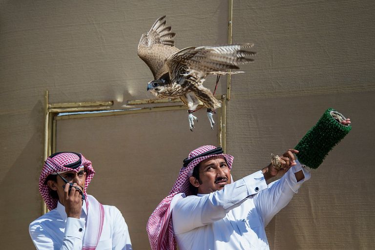 أحد المشاركين في البطولة