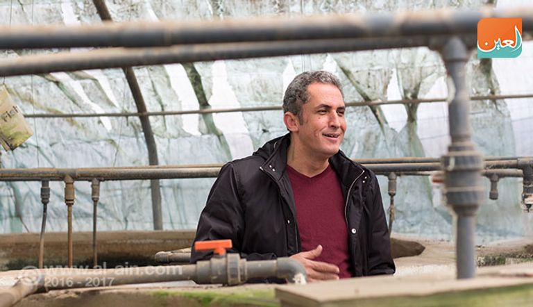 صوب لنباتات زراعية بدون تربة