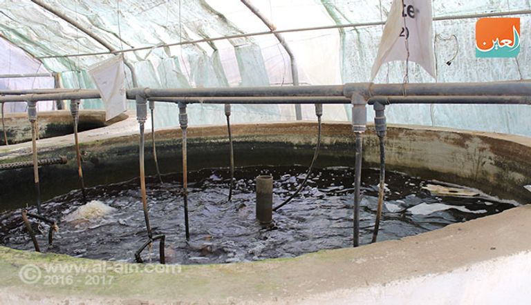 صوب لنباتات زراعية بدون تربة