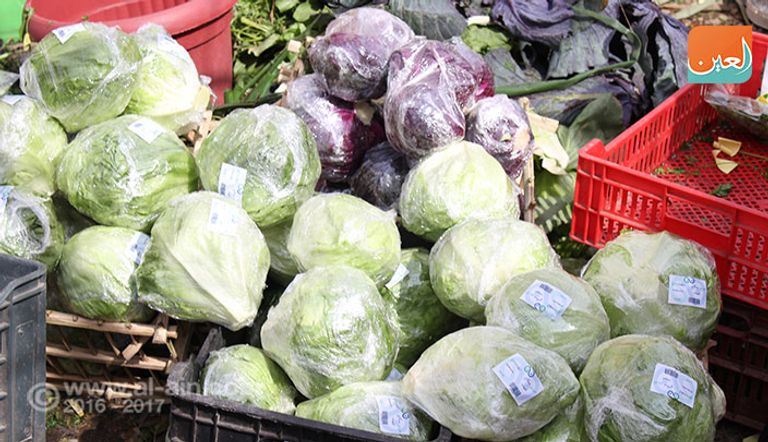 صوب لنباتات زراعية بدون تربة