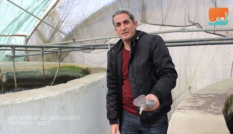 صوب لنباتات زراعية بدون تربة