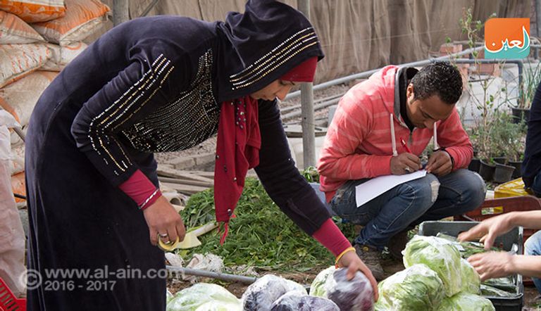 صوب لنباتات زراعية بدون تربة