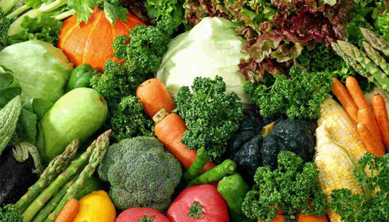 تأمل الطبيعة لتطهير الجسم