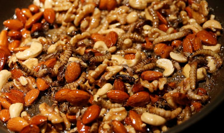 كيك بالشكولاتة والصراصير الاستوائية