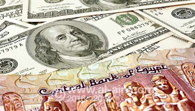 الدولار يواصل الهبوط في مصر لليوم السابع