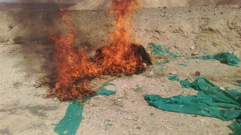 المتحدث العسكري المصري