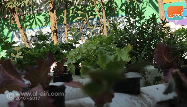 مقر الجمعية ونماذج مشاريعها