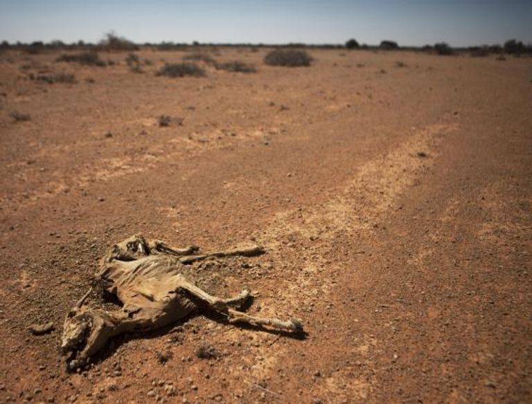 هل سيسمع العالم؟