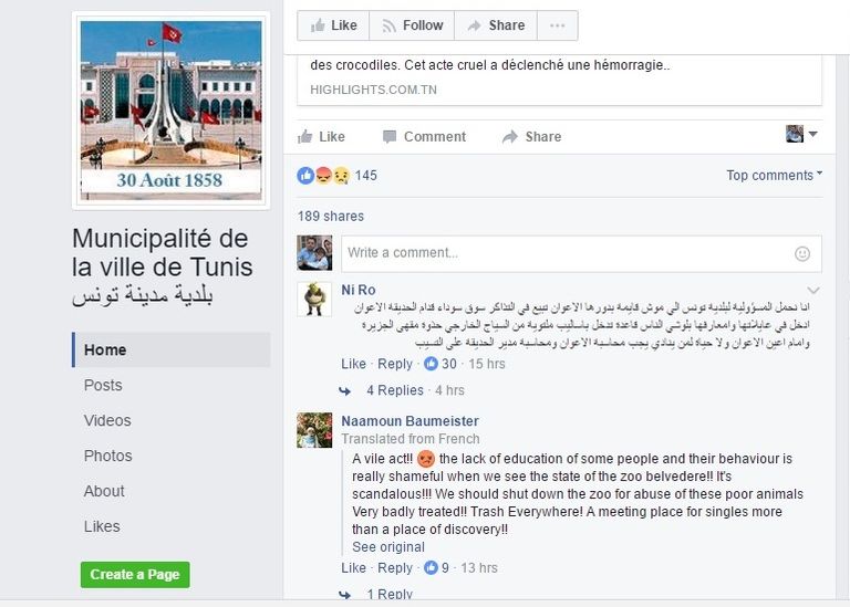 التمساح رشق بالحجارة حتى الموت