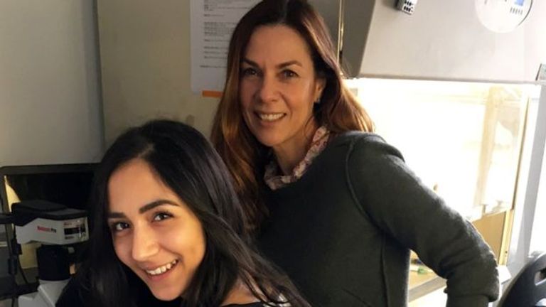 العلماء اعتمدوا على خلايا جذعية لفئران