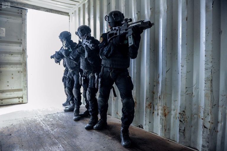 تمرين وطن 87