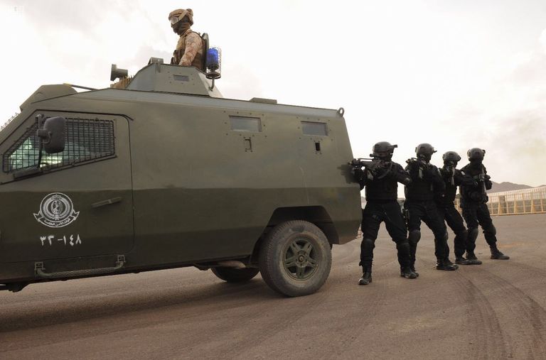 تمرين وطن 87