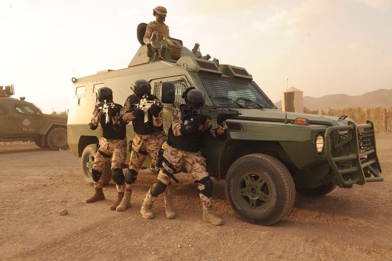 تمرين وطن 87