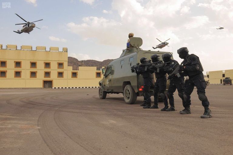 تمرين وطن 87