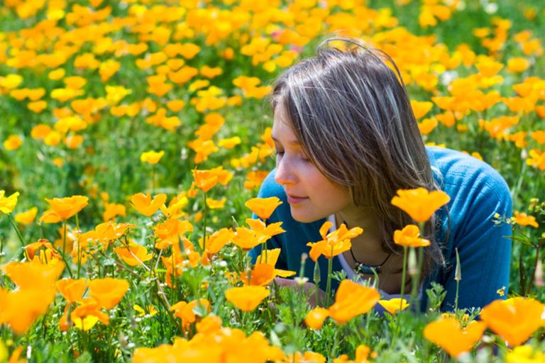 وسائل بسيطة للسعادة