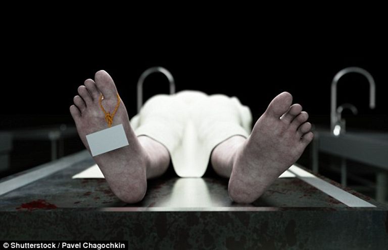 الحياة بعد الموت