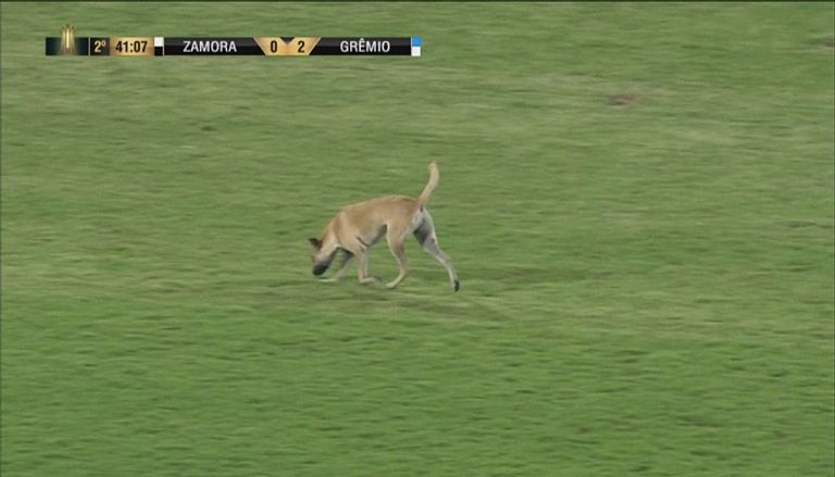 صورة من المباراة