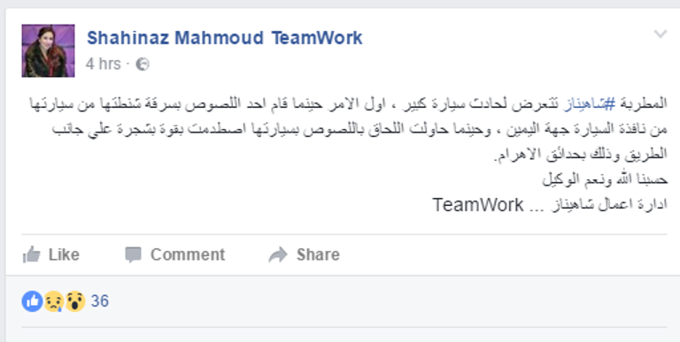 المطربة المصرية شاهيناز