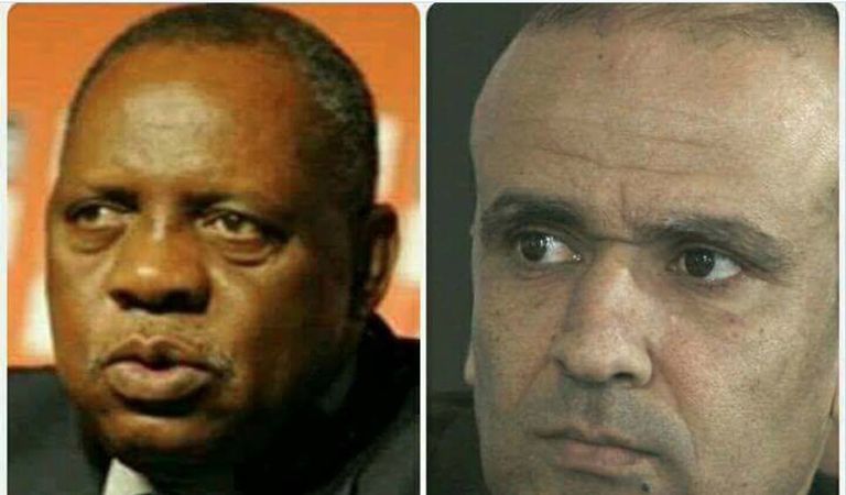 جماهير تونس