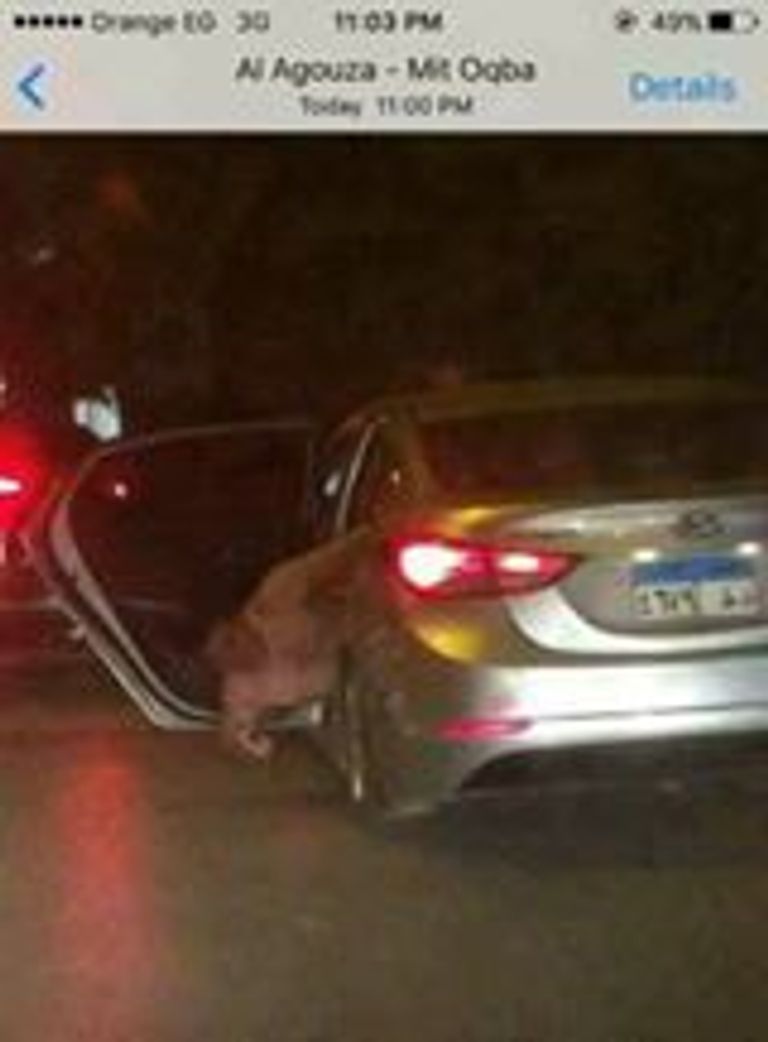 الشاب المصري فريد شوقي الشهابي صاحب فيديو الاستغاثة