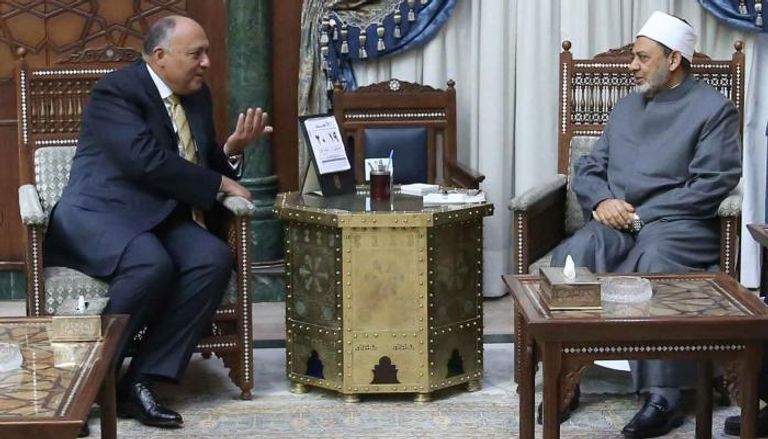 وزير الخارجية المصري في لقاء شيخ الأزهر