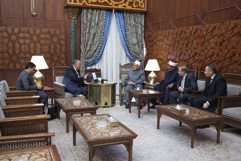 وزير الخارجية المصري في لقاء شيخ الأزهر