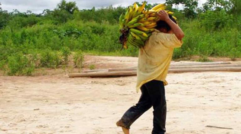 شعب "تسيماني" يتبعون حمية وطرق معيشة مختلفة