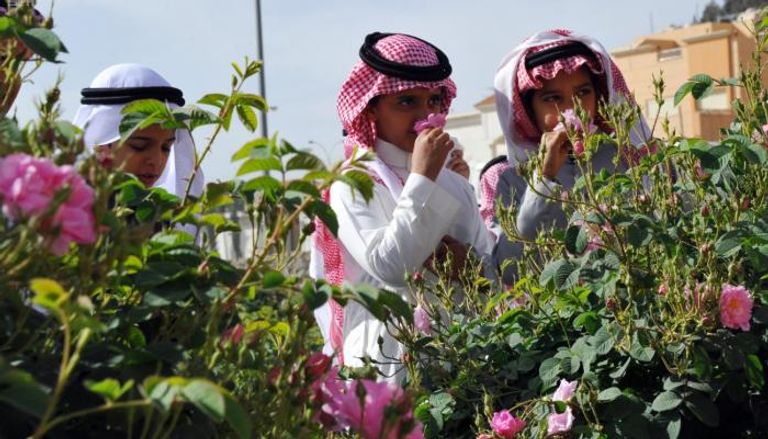 انطلاق مهرجان الورد الطائفي في السعودية الثلاثاء المقبل