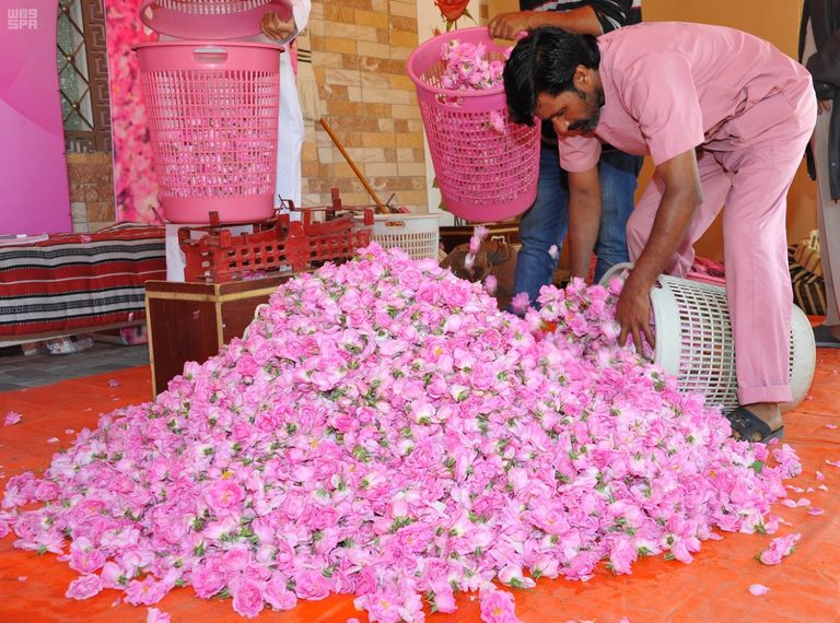 انطلاق مهرجان الورد الطائفي في السعودية الثلاثاء المقبل