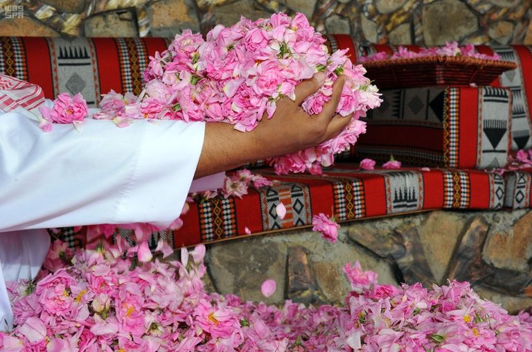 انطلاق مهرجان الورد الطائفي في السعودية الثلاثاء المقبل