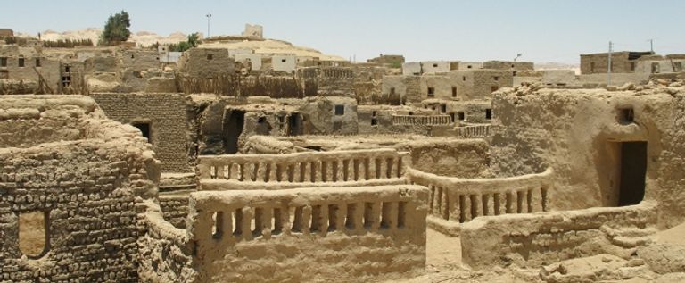 احتفال محرك البحث جوجل بحسن فتحي