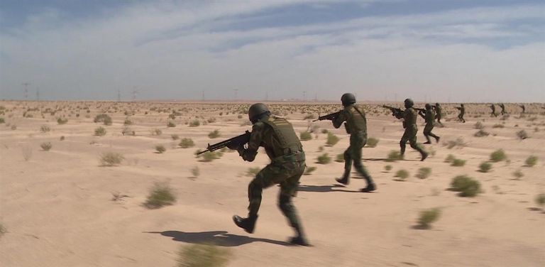 مناورات "زايد 2" بين الإمارات ومصر