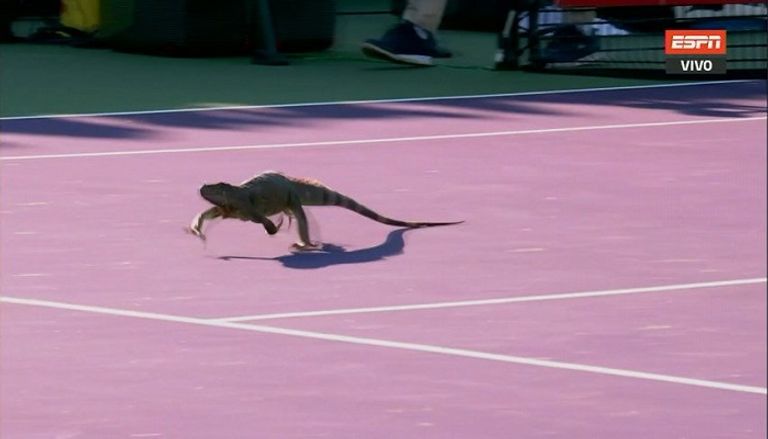 صورة من الواقعة