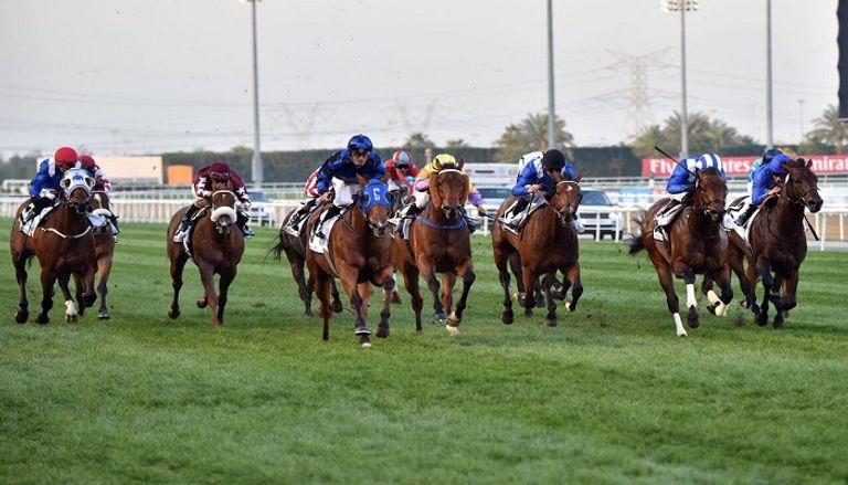 النسخة 22 من مونديال الخيول بدبي