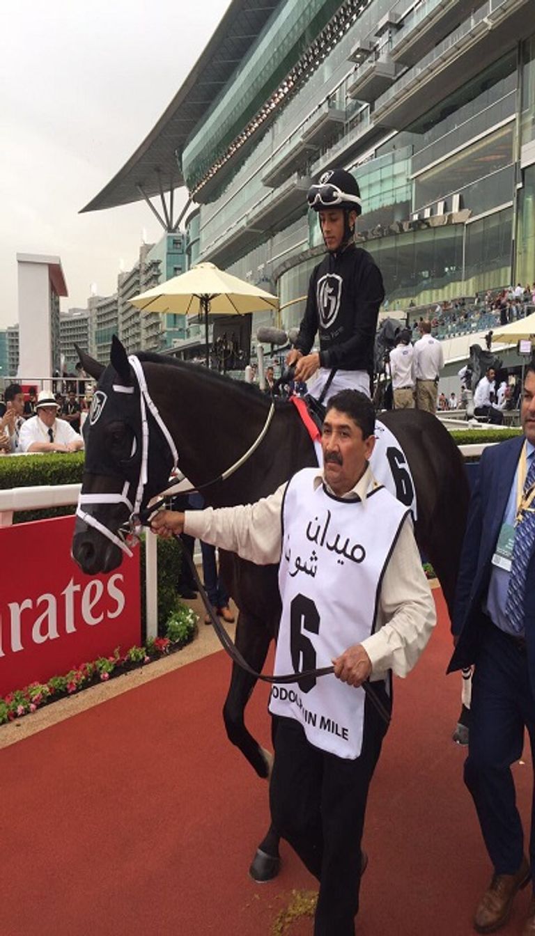 النسخة 22 من مونديال الخيول بدبي