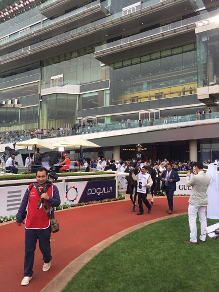 النسخة 22 من مونديال الخيول بدبي