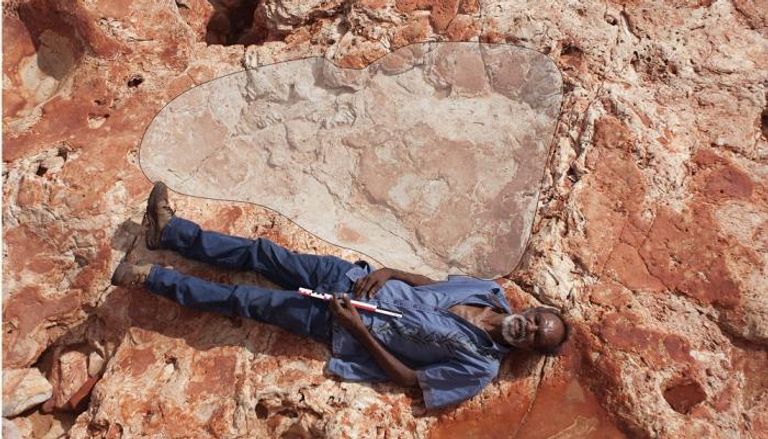 آثار قدم الديناصور طولها 1.75 متر