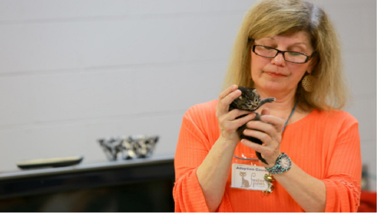 منظمة أمريكية تعقد دورة لكفالة القطط اليتامى