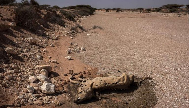 المجاعة تجتاح الصومال - سي إن إن