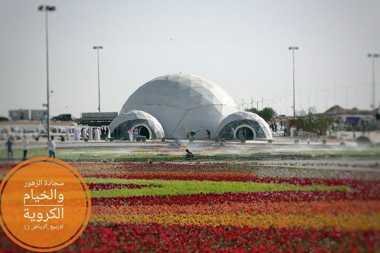 سجادة من الزهور في مهرجان ربيع الرياض