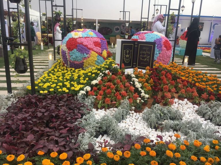 سجادة من الزهور في مهرجان ربيع الرياض