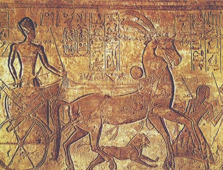 غلاف الكتاب