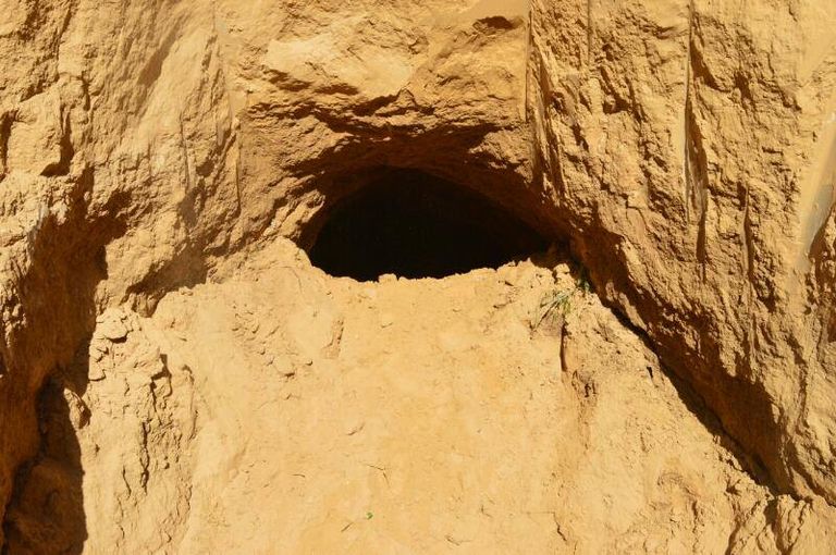 الجيش المصري في سيناء