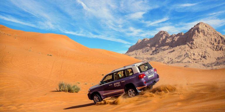 أنشطة صحراوية في وجهة وجهة مليحة للسياحة البيئية والأثرية